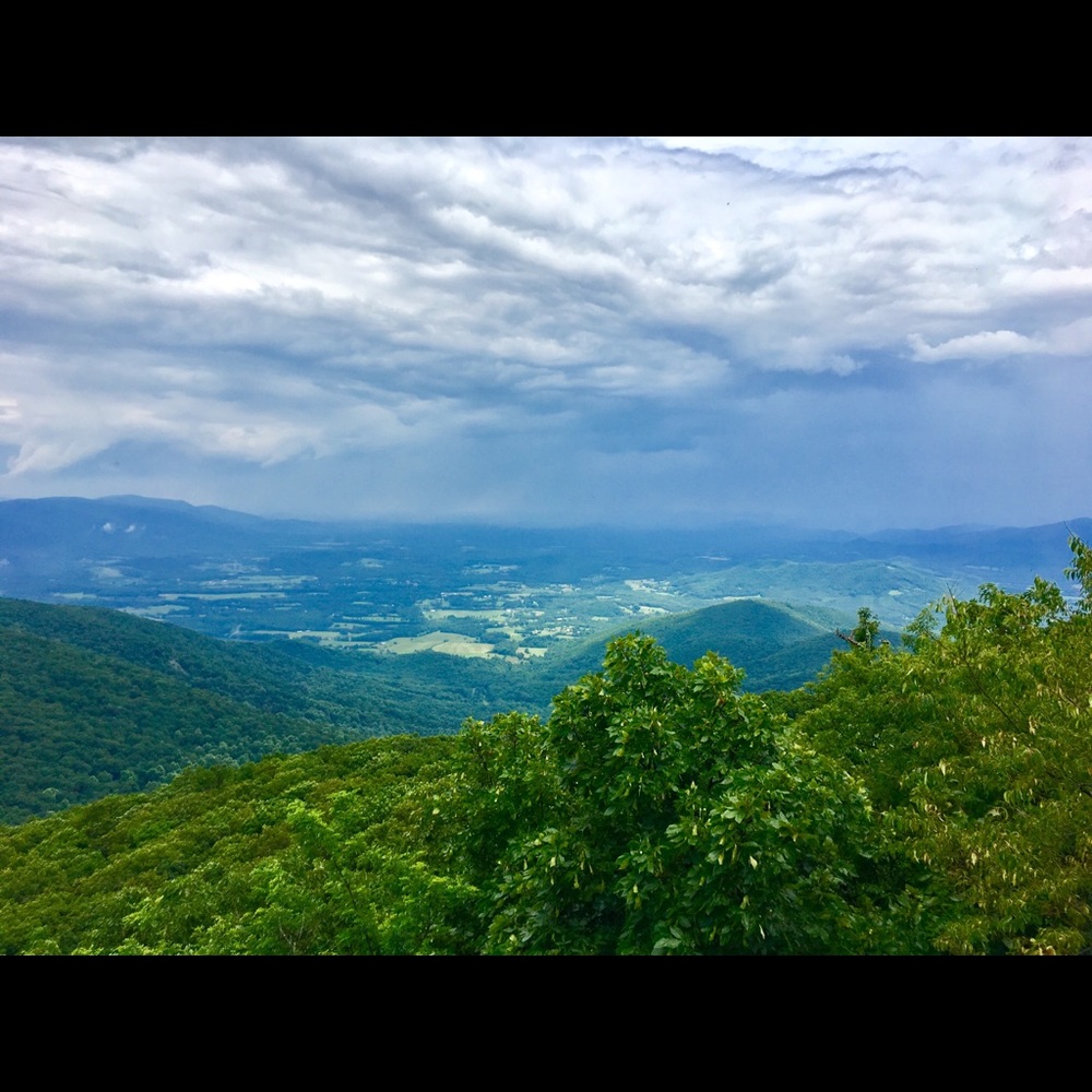 Meet your Posher, Maryann